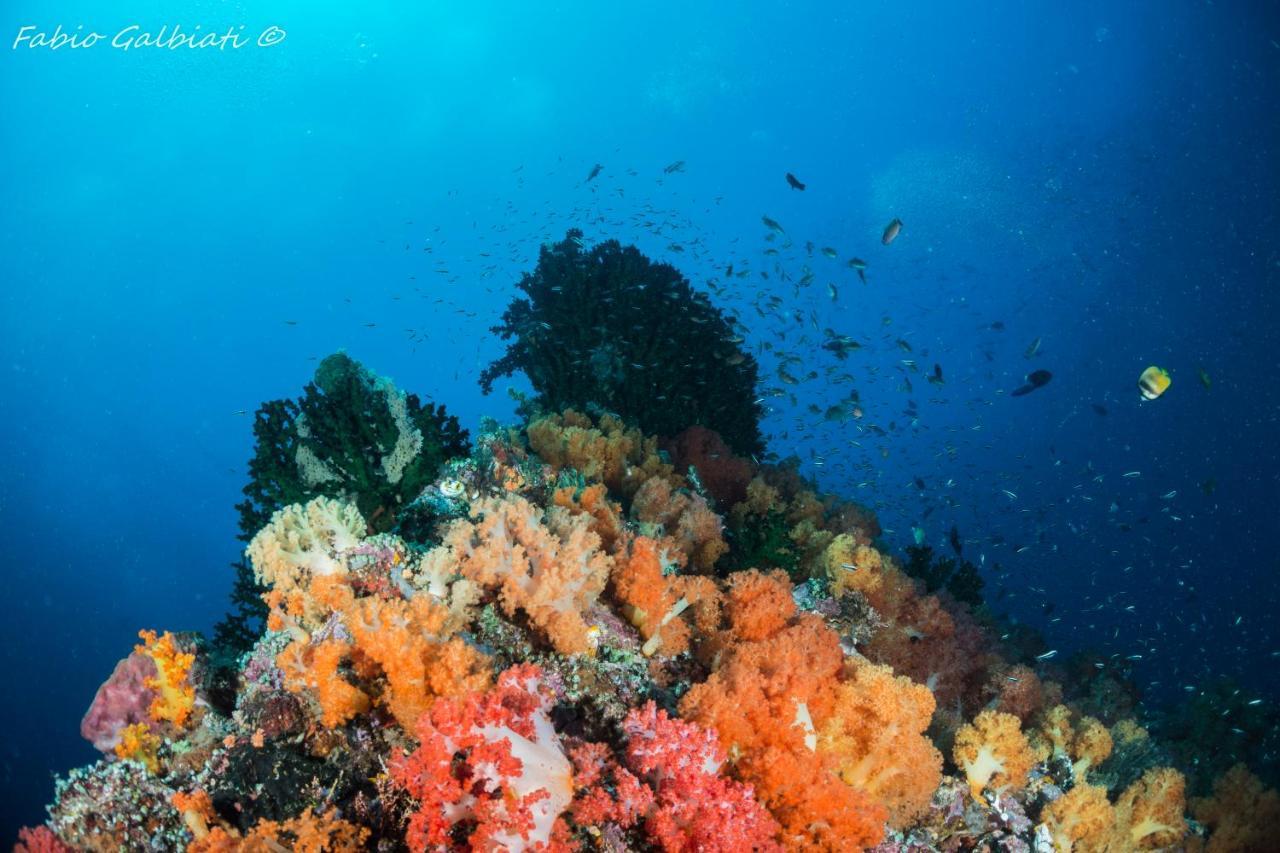 Coral Eye Boutique Resort And Marine Outpost Likupang Kültér fotó